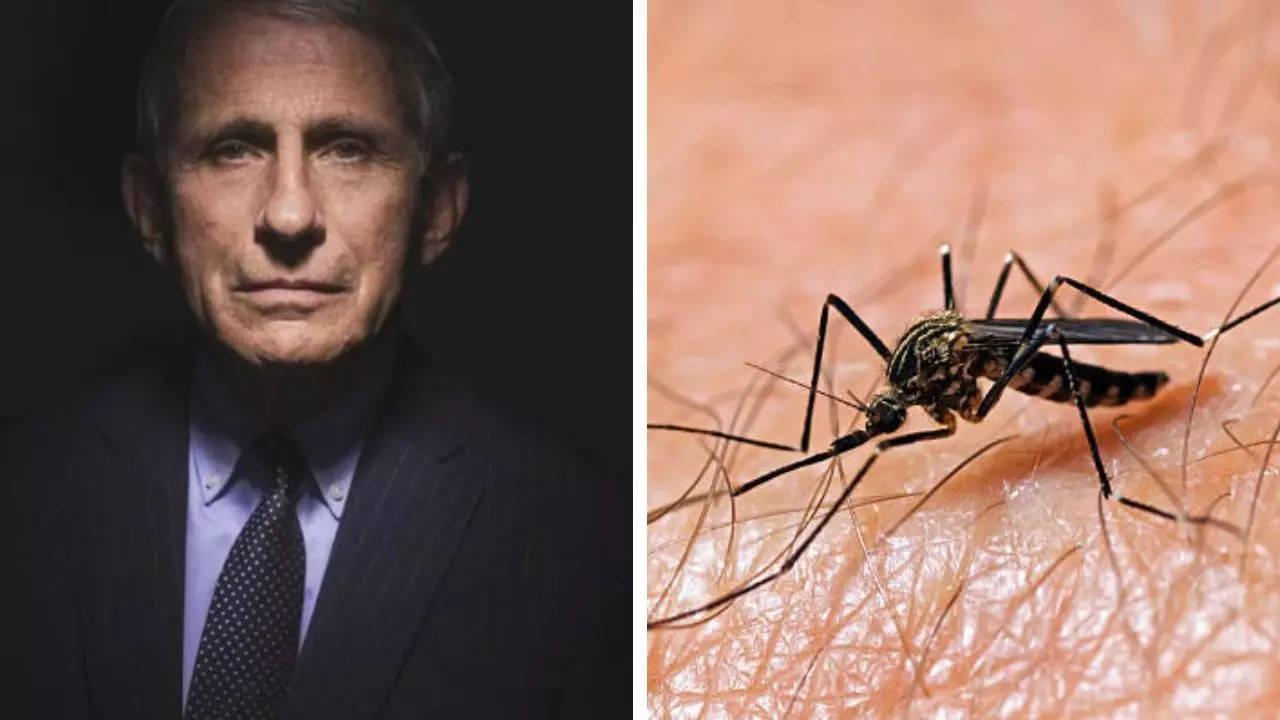 What Is West Nile - The Virus That Sent Dr. Anthony Fauci To The Hospital?