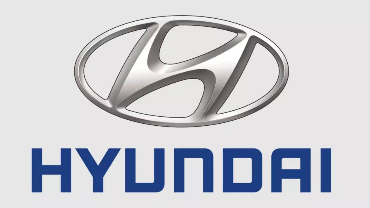 us agency to reexamine permit for hyundai's $7.6 billion georgia ev plant