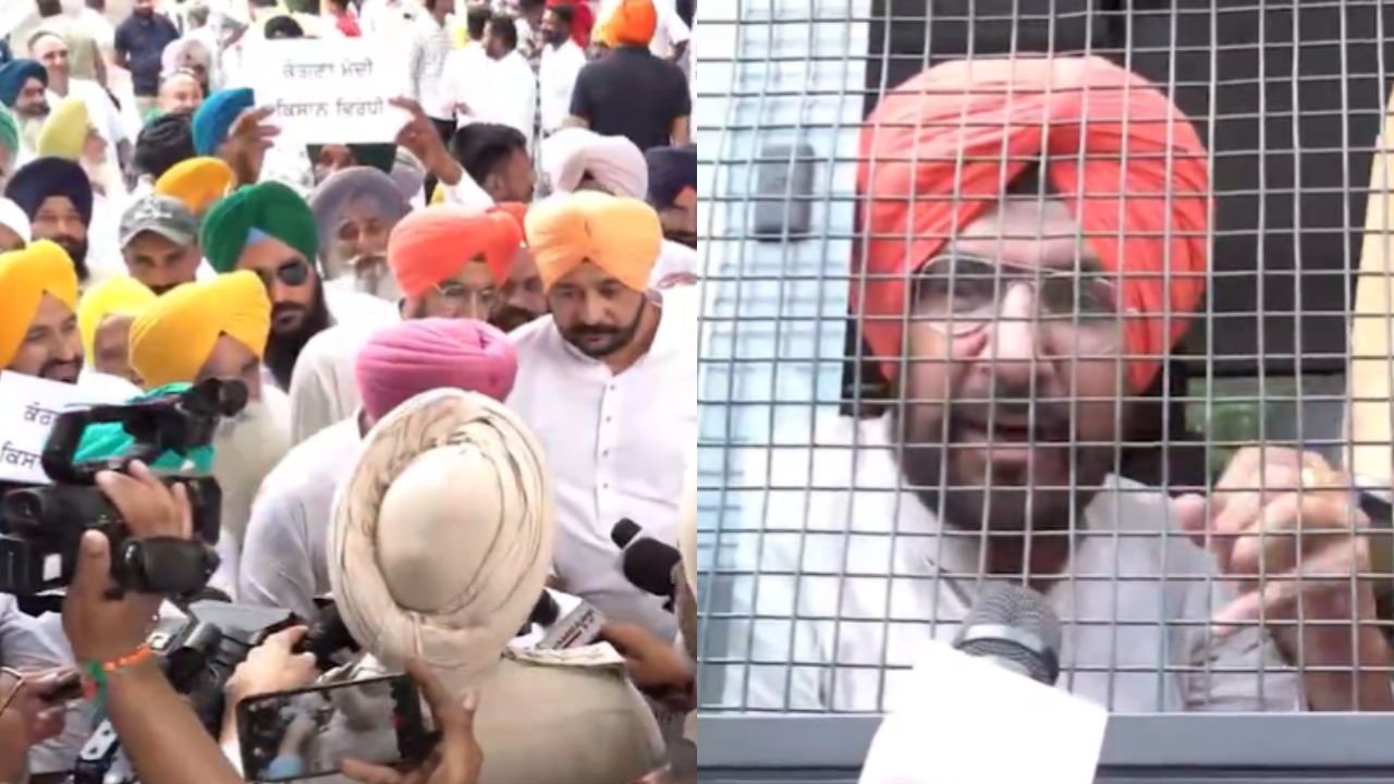 aap workers massive protest in chandigarh over kangana ranaut's remarks on farmers: video