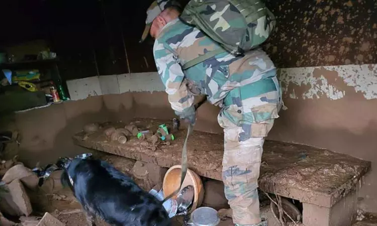 Armys Jaki, Dixie and Sara search for life under rubble in landslides-hit Wayanad