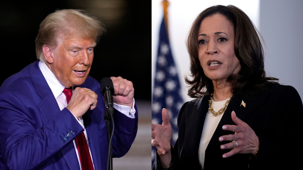 Kamala Harris On Donald Trump's Free IVF Promise: 'Brazen Lie'