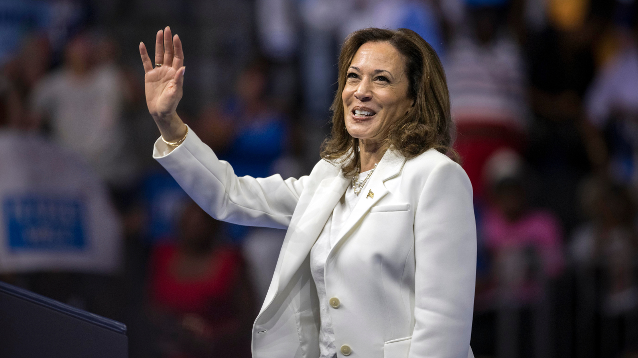 Kamala Harris Interview: From Economy, Controversies To Trump - Top 7 Points