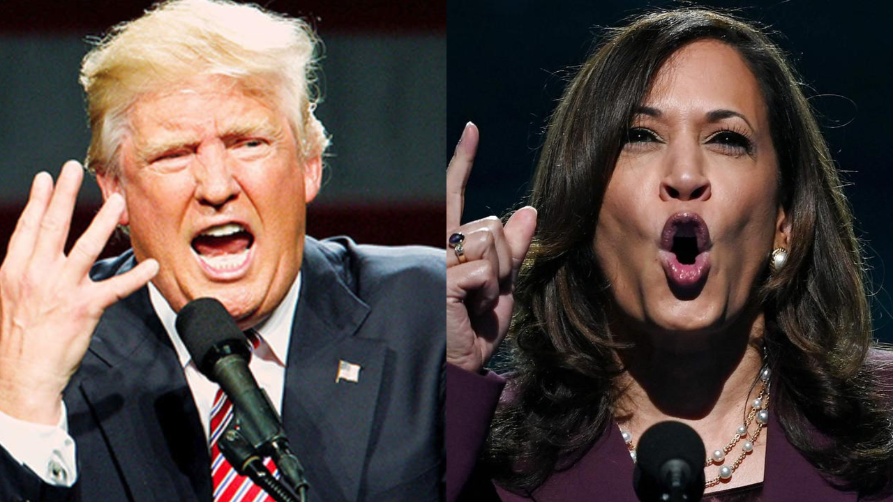 donald trump vs kamala harris presidential debate: what to expect from september 10 showdown