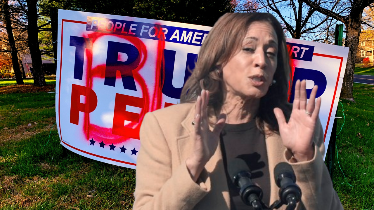 kamala harris takes to the skies: anti-trump, project 2025 banners to fly over games