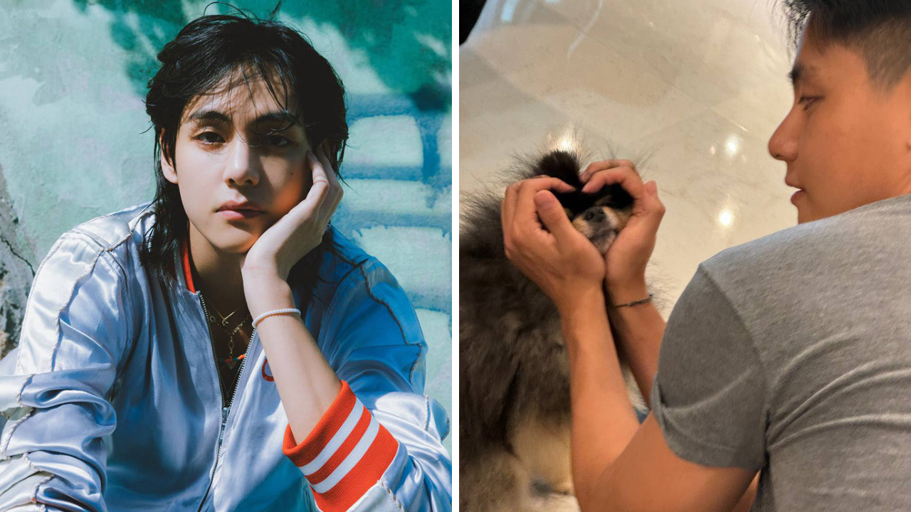 bts' v joins army to celebrate layover's 1 year anniversary, shares new pic with pet pup yeontan