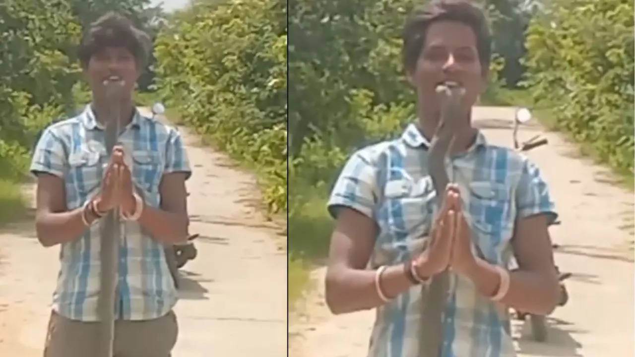 telangana man puts deadly king cobra in his mouth to go viral on the internet; dies – video