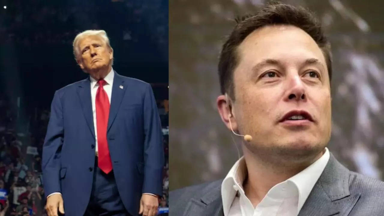 elon musk backs trump's claim that 'haitians are eating dogs and cats,' shares video