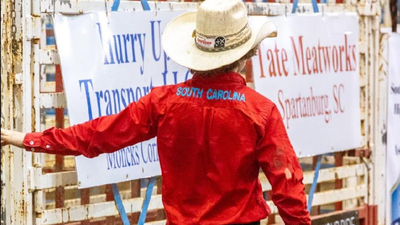 dalton alan weise: south carolina bull rider dies, tributes pour in