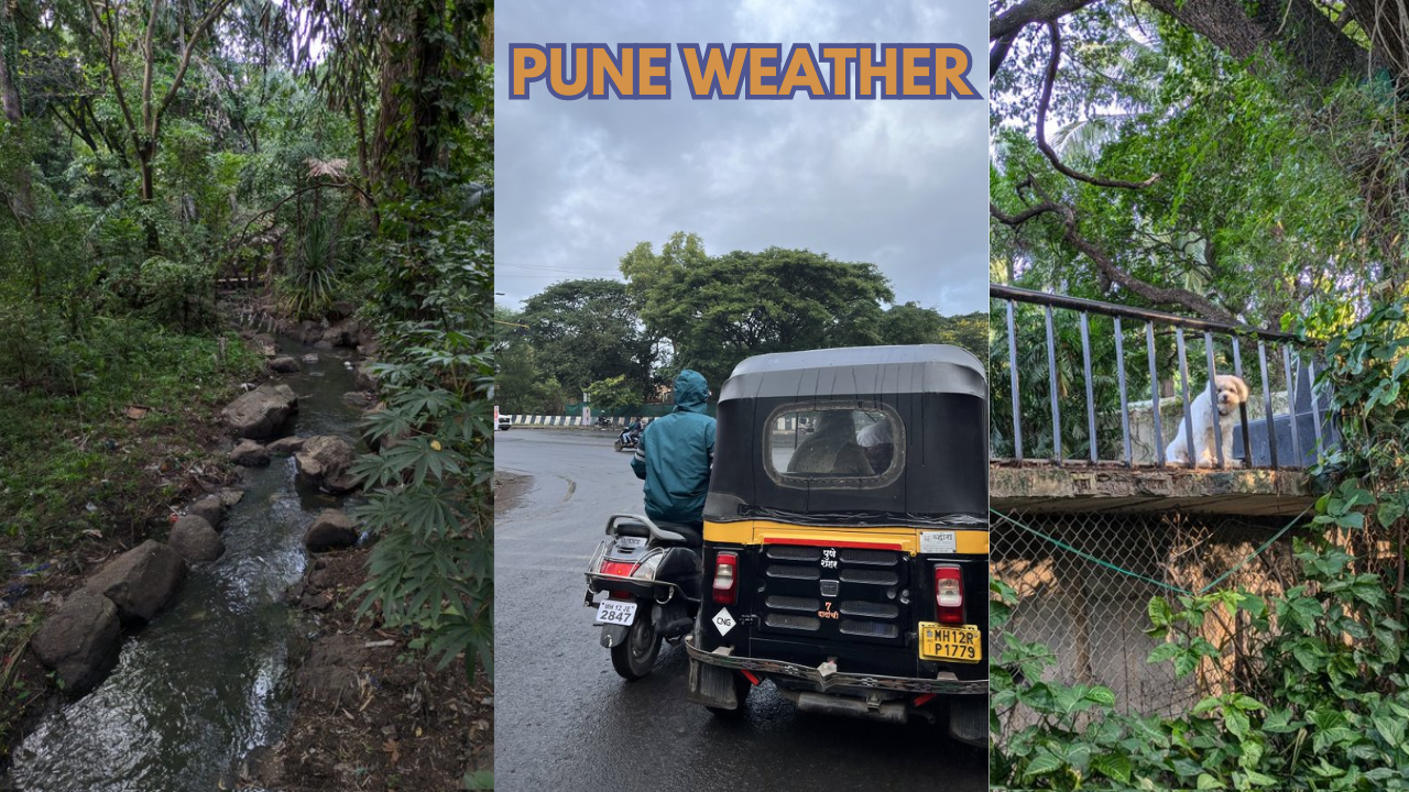 punekars enjoy 'rare days' of pleasant weather as humidity set to return soon: check forecast