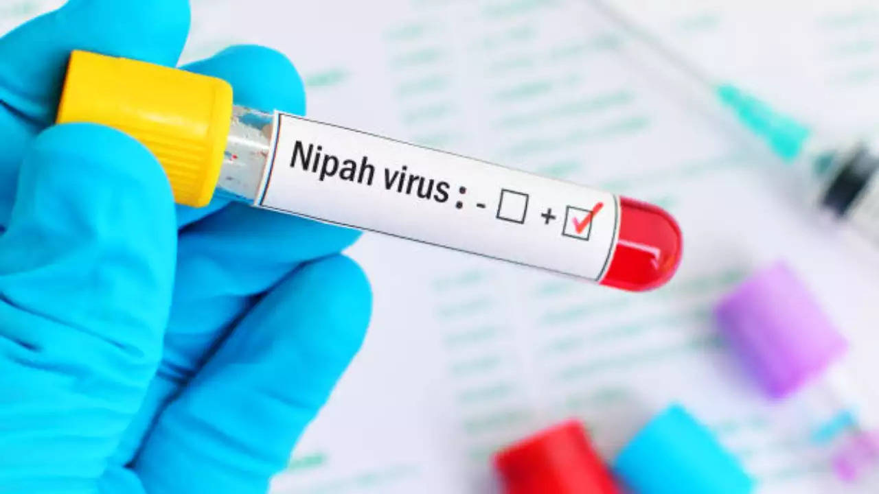 nipah virus kills student in kerala's malappuram, tamil nadu to enhance surveillance at border