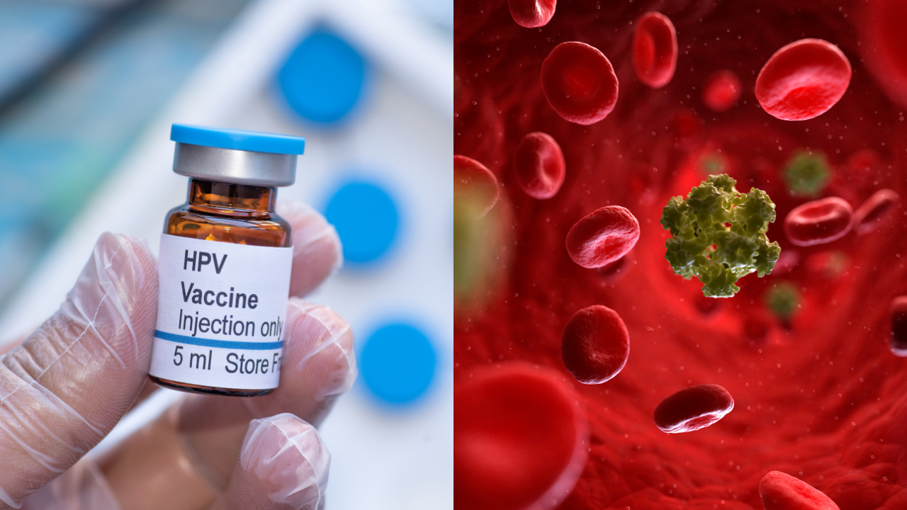 understanding hpv: experts weigh in on its risks, prevention, and health impacts