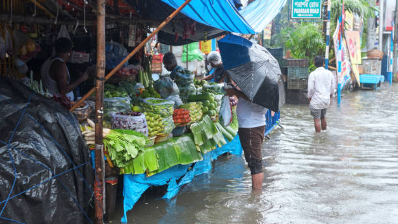 kolkata: imd predicts drop in temperature, low rain intensity today; check forecast for weekend