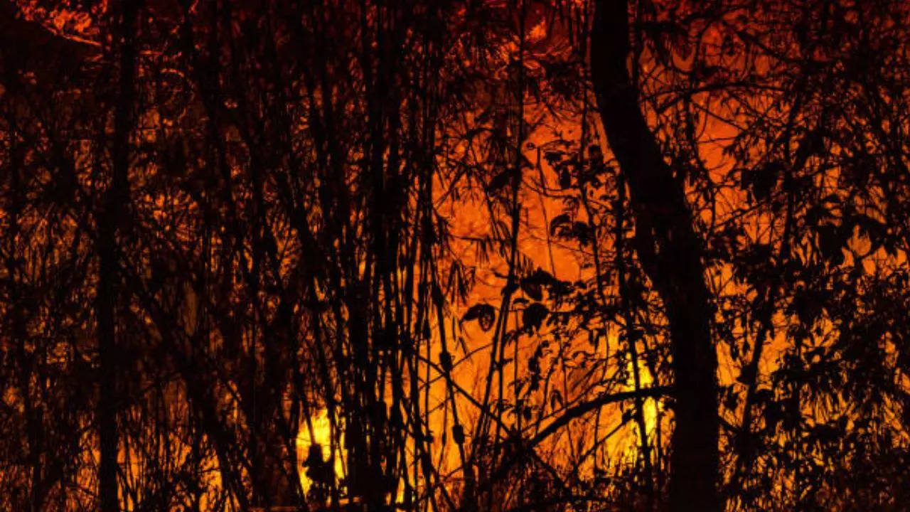 San Jose Airport Fire: Four Acre Blaze Breaks Out Near Mineta International