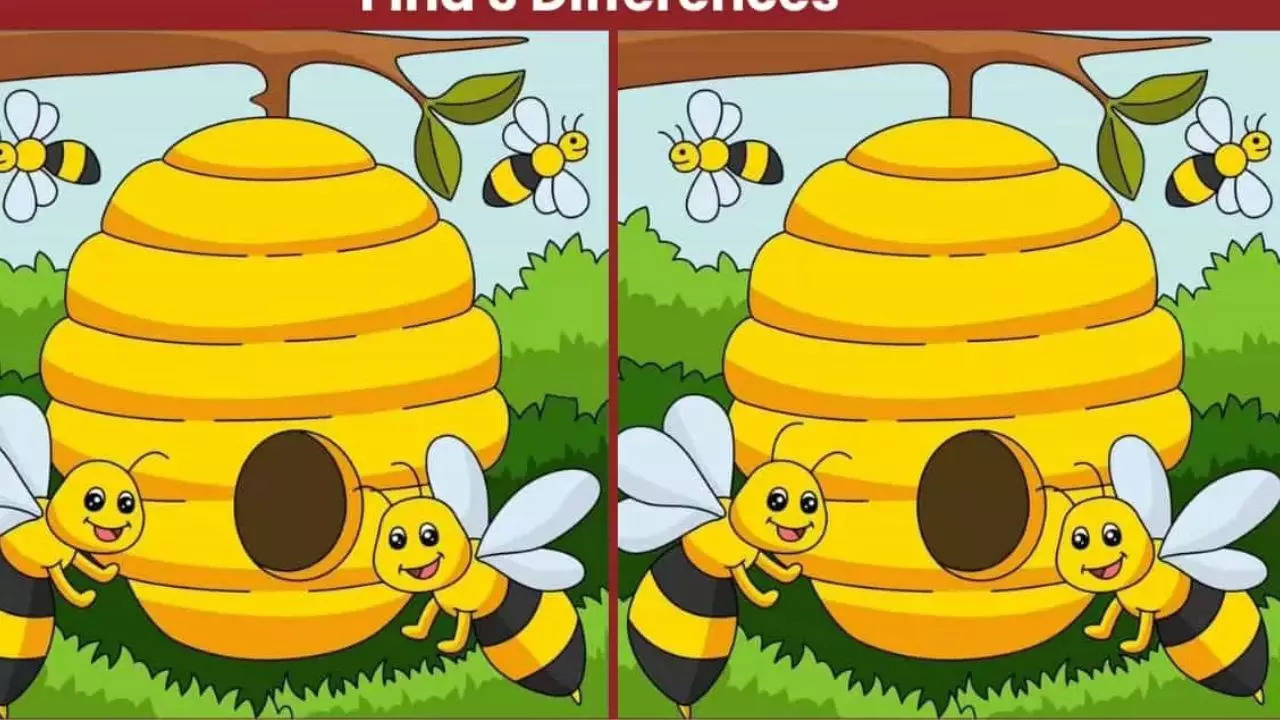 spot 3 differences between honeybee pictures in 19 seconds!