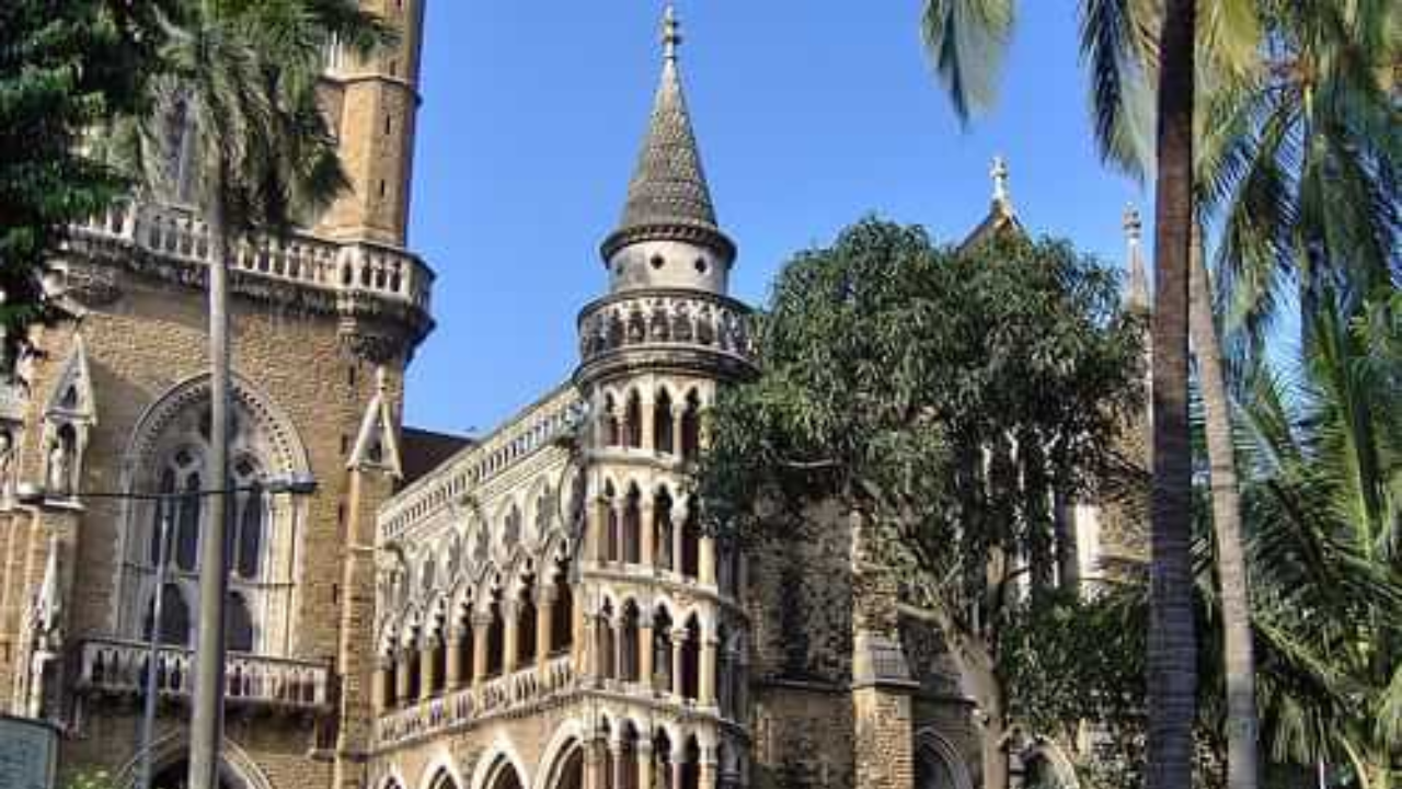 mumbai university senate election result 2024 on this date, 55 percent voter turnout recorded