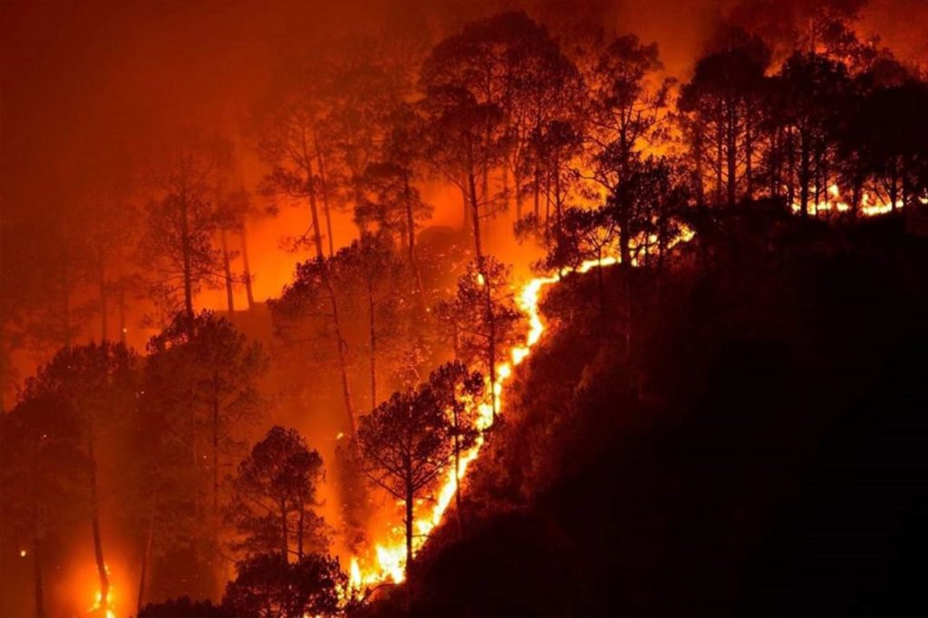 Climate change boosts risk of extreme wildfires 25%: study