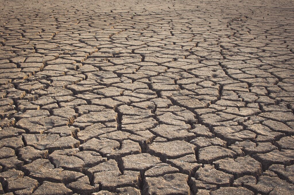 Half world's largest lakes and reservoirs drying up: study