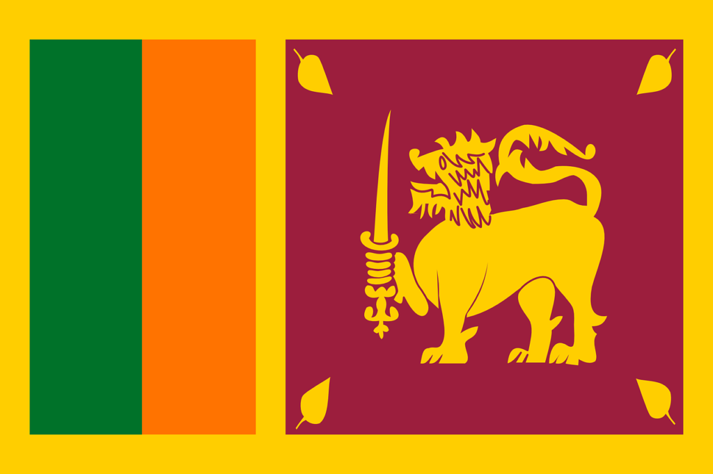 Sri Lanka debates 'draconian' social media bill