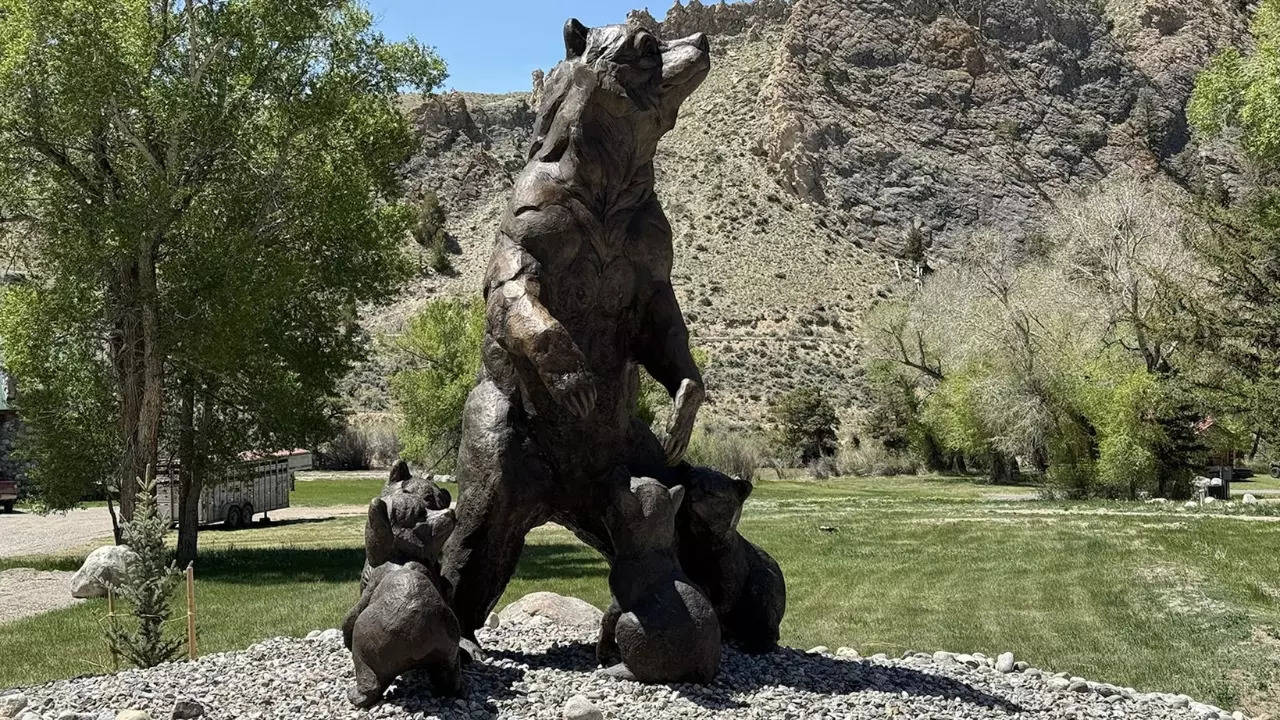 Grizzly 399, the Most Famous Bear on Earth, Immortalised in 8-Foot Statue