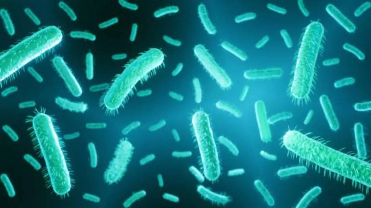 Major E. Coli outbreak In UK As Dozens Hospitalized; Authorities Issue Warning