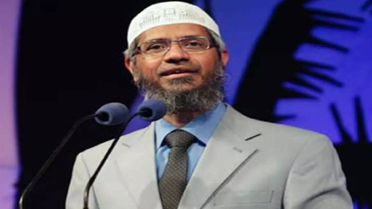 'disappointing and condemnable but...': india on pakistan's warm welcome to zakir naik