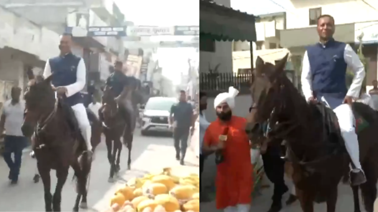 haryana elections 2024 watch: bjp mp naveen jindal rides a horse to polling station to cast vote