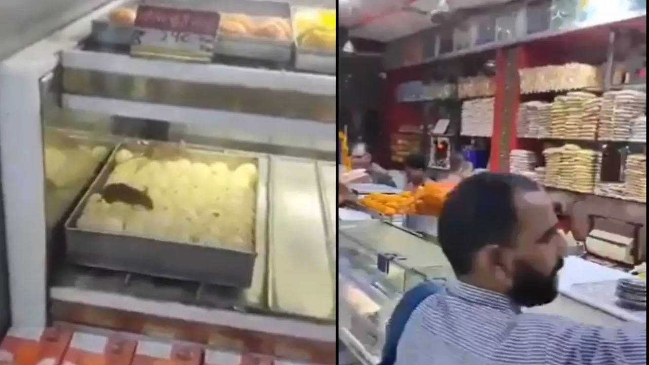 rat enjoys sweets as customers shop at delhi's popular shop - viral video