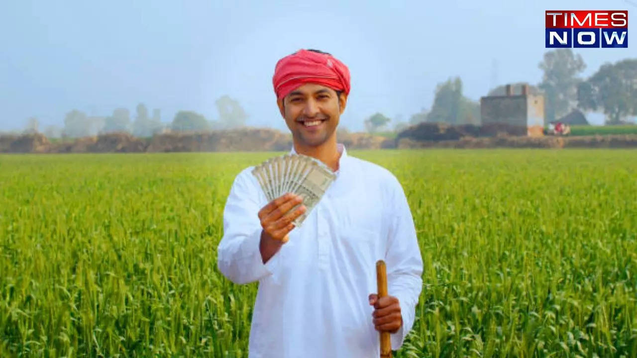 pm kisan scheme: 18th instalment not credited? follow these steps to claim rs 2,000 now