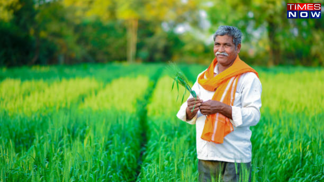 farmers earn only one-third of final price for fruits and vegetables, rbi study shows