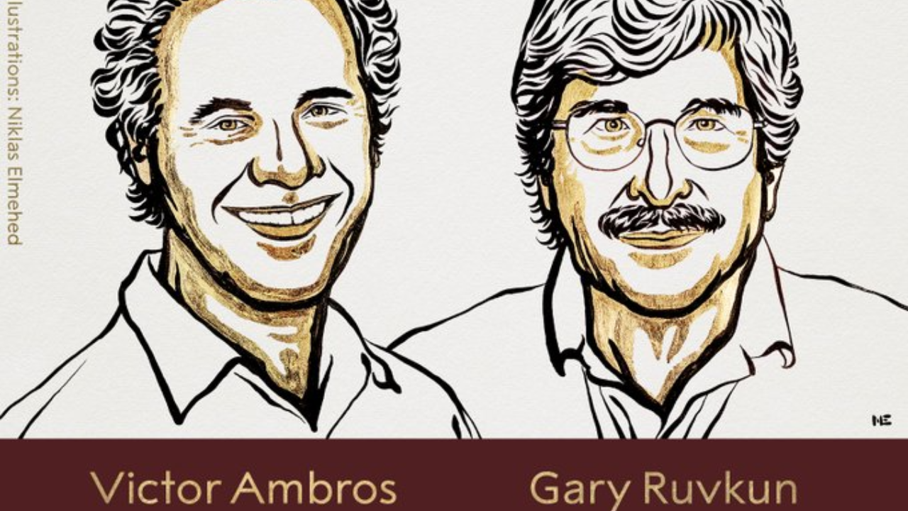 Victor Ambros And Gary Ruvkun Win Nobel Prize In Physiology Or Medicine For Discovery Of MicroRNA