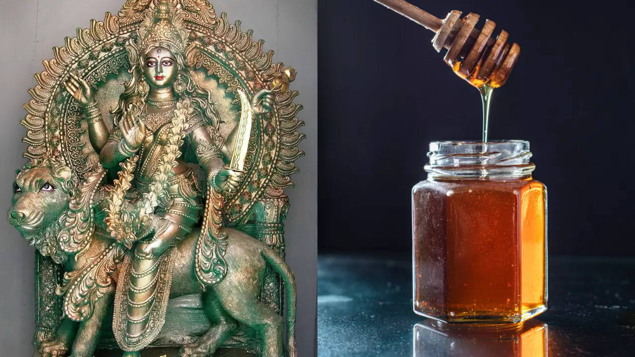 navratri 2024, day 6: devi katyayani is worshipped with honey and panchamrit