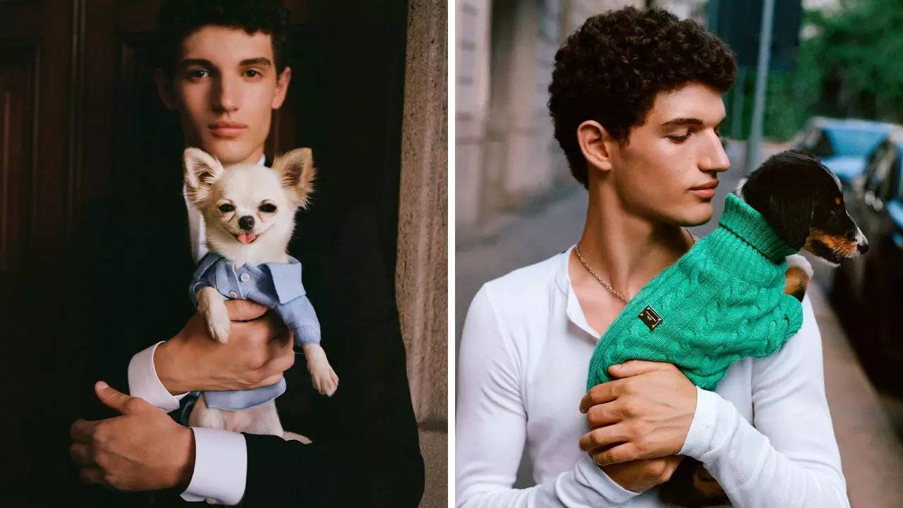 luxury goes to the dogs: dolce & gabbana's canine couture features clothing priced up to $13,500