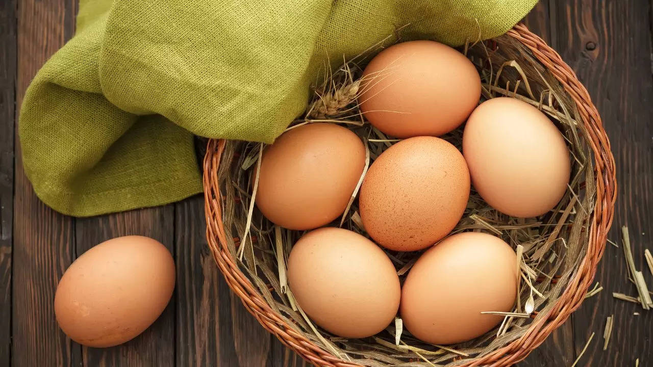 world egg day 2024- from ancient egypt to rome, how history shaped the way we eat our breakfast today