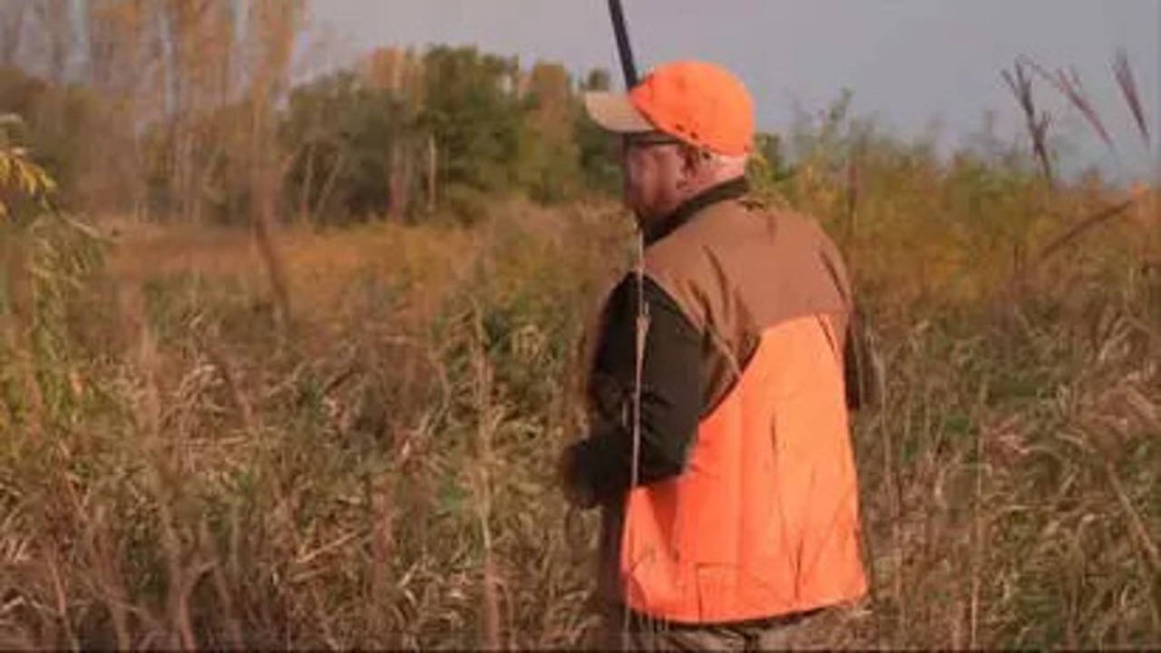 tim walz's gun struggles during pheasant hunt sparks elmer fudd jokes