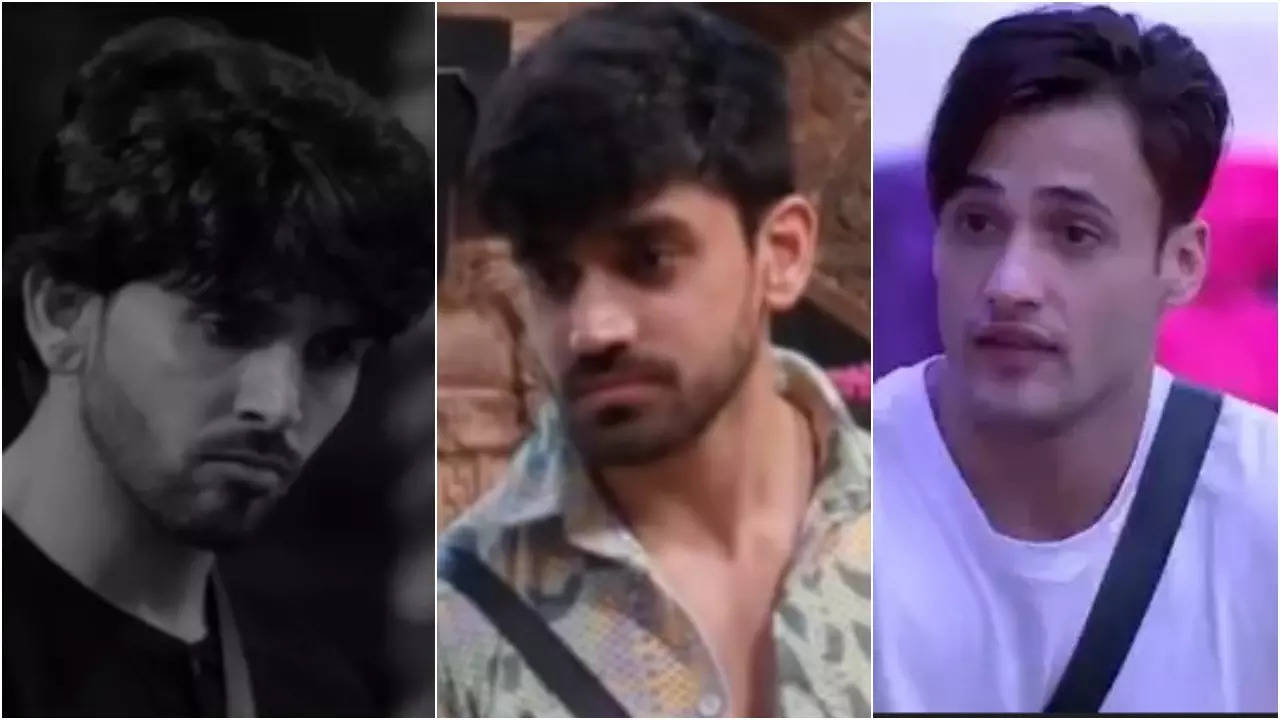 bigg boss 18: shehzada dhami accuses avinash mishra of copying asim riaz