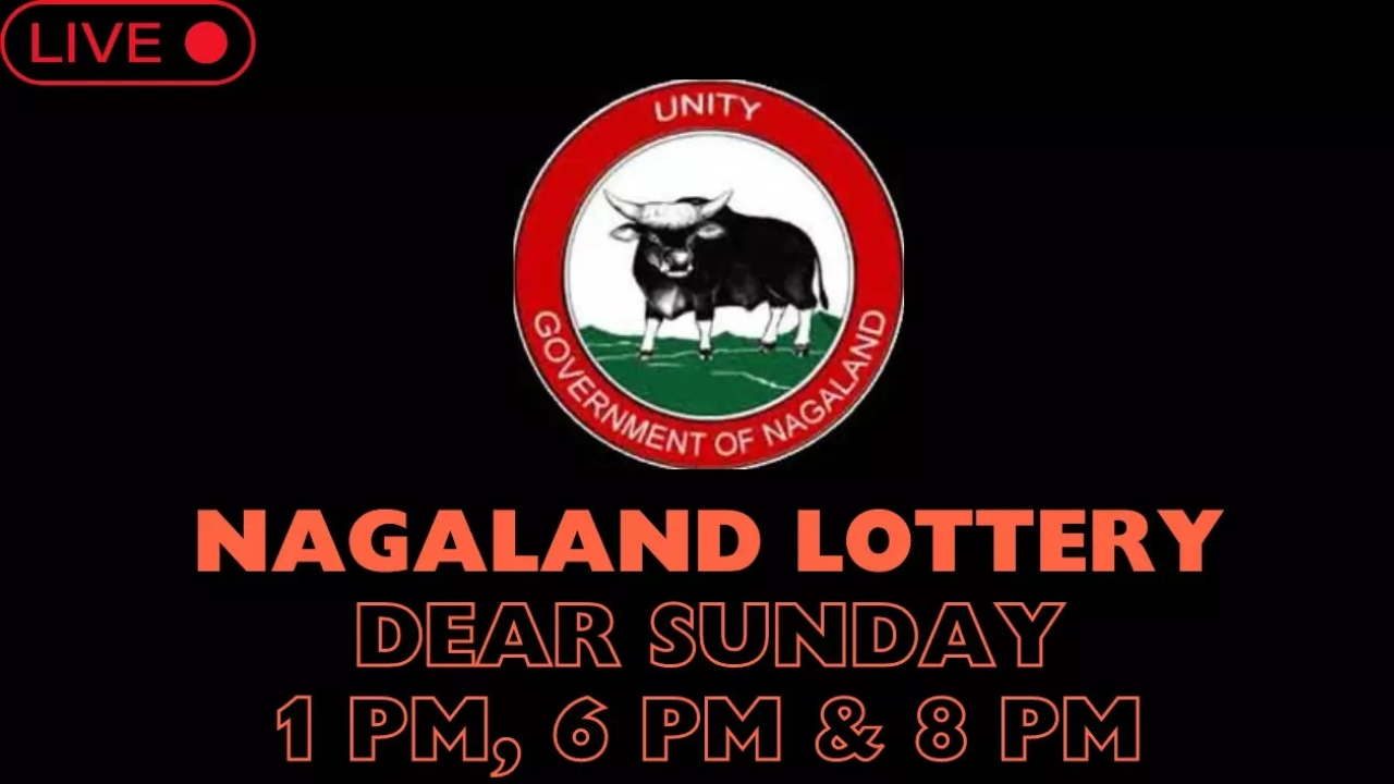 nagaland lottery sambad result today (13.10.2024): dear yamuna sunday 6 pm winners’ live updates, first prize