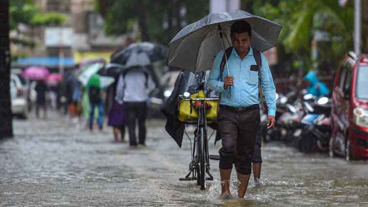 rainfall warning: northeast monsoon activity commenced over south india, heavy downpour over these states - imd update