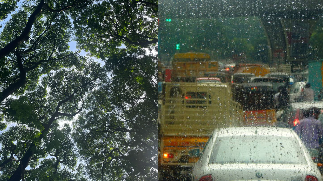 'as i left home...' bengaluru resident shares how stepping out in rain turned into a harrowing incident