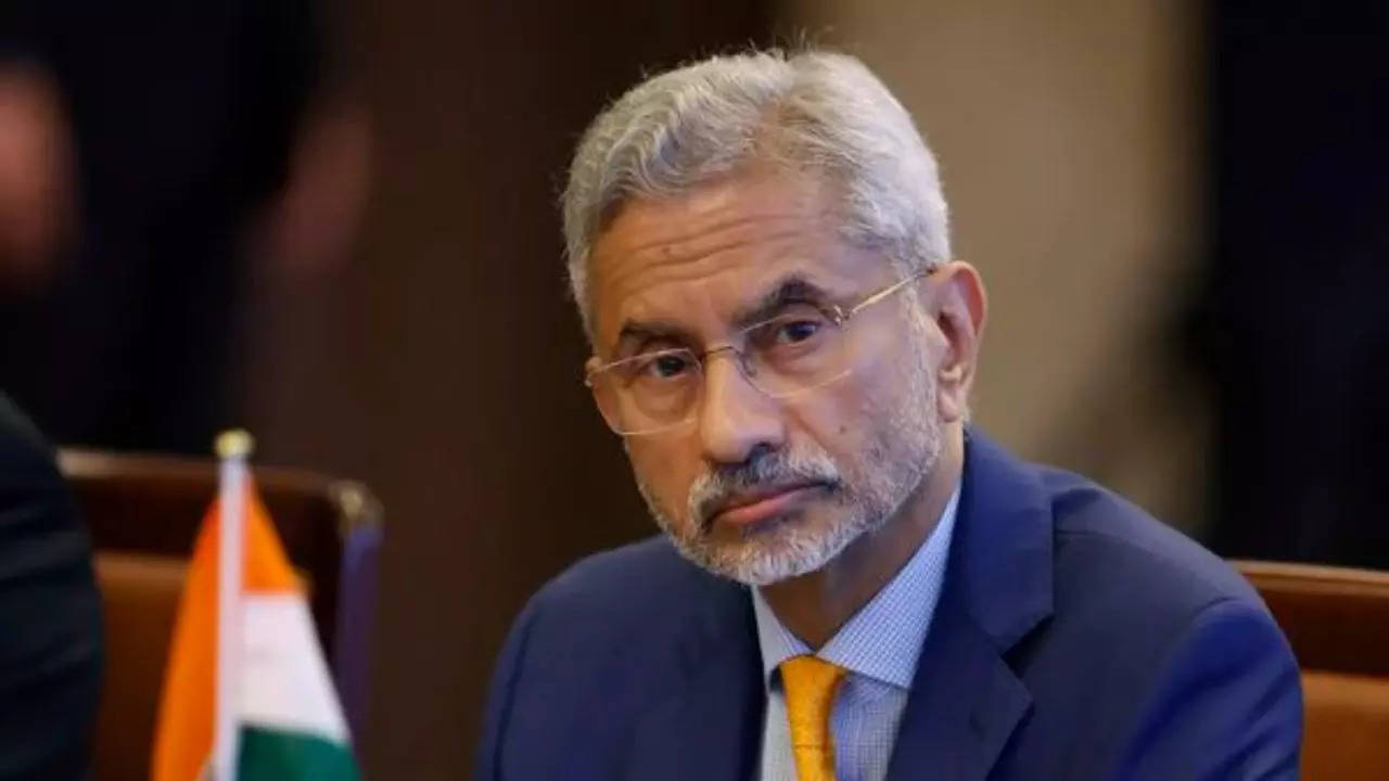 jaishankar's veiled dig at pakistan, china: 'terrorism, extremism affect cooperation'