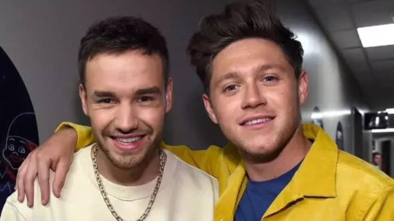 videos of liam payne attending niall horan's argentina concert go viral: 'heartbreaking'