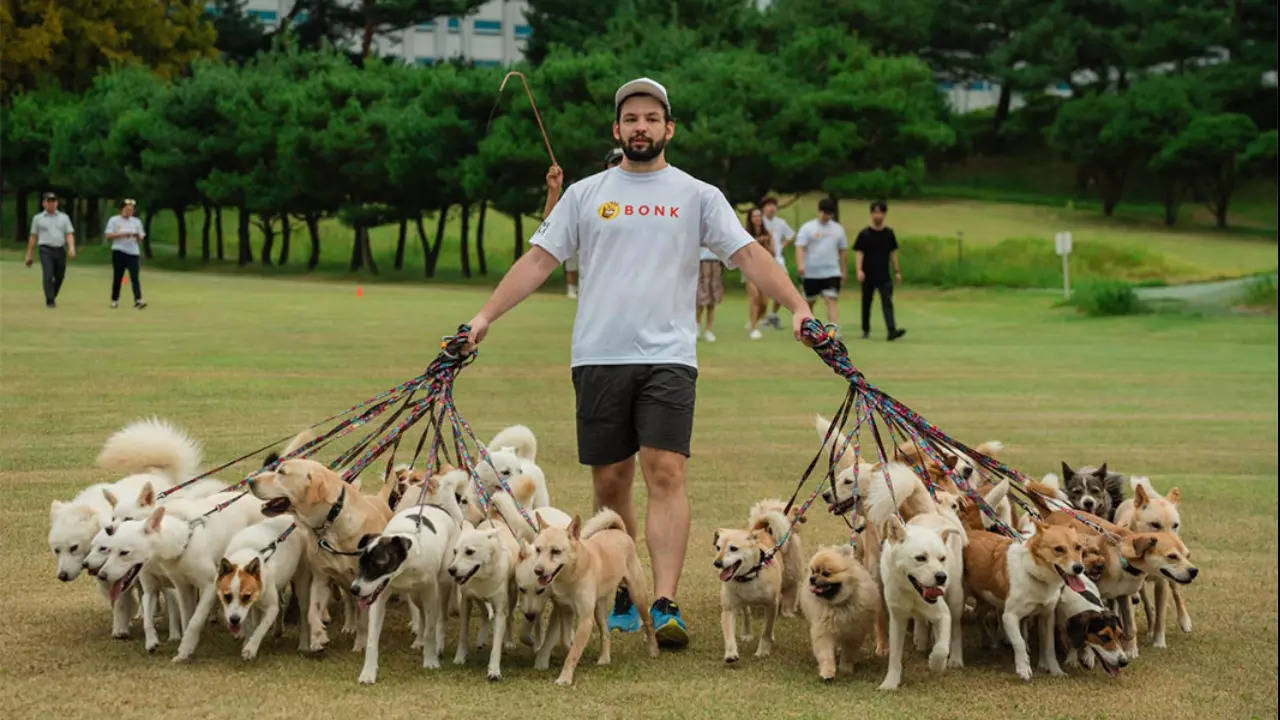 why this man walked 38 dogs all at once