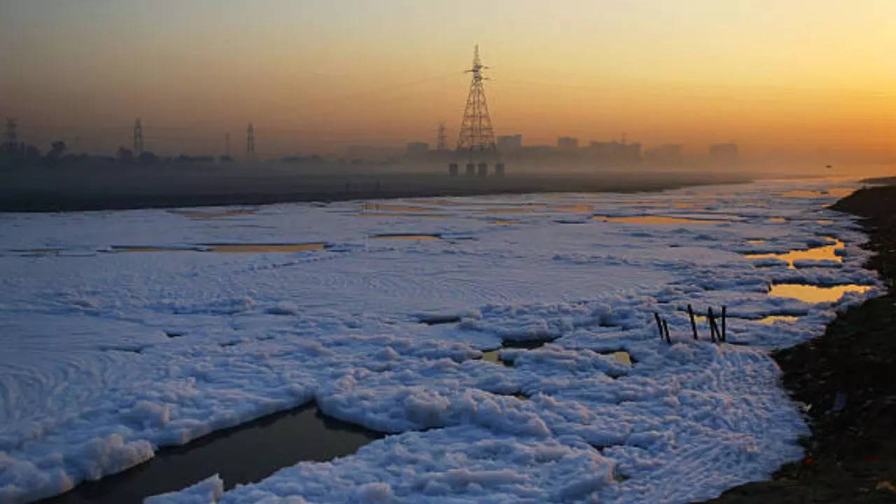 delhi yamuna river covered in froth: here's how it can pose a risk to your health