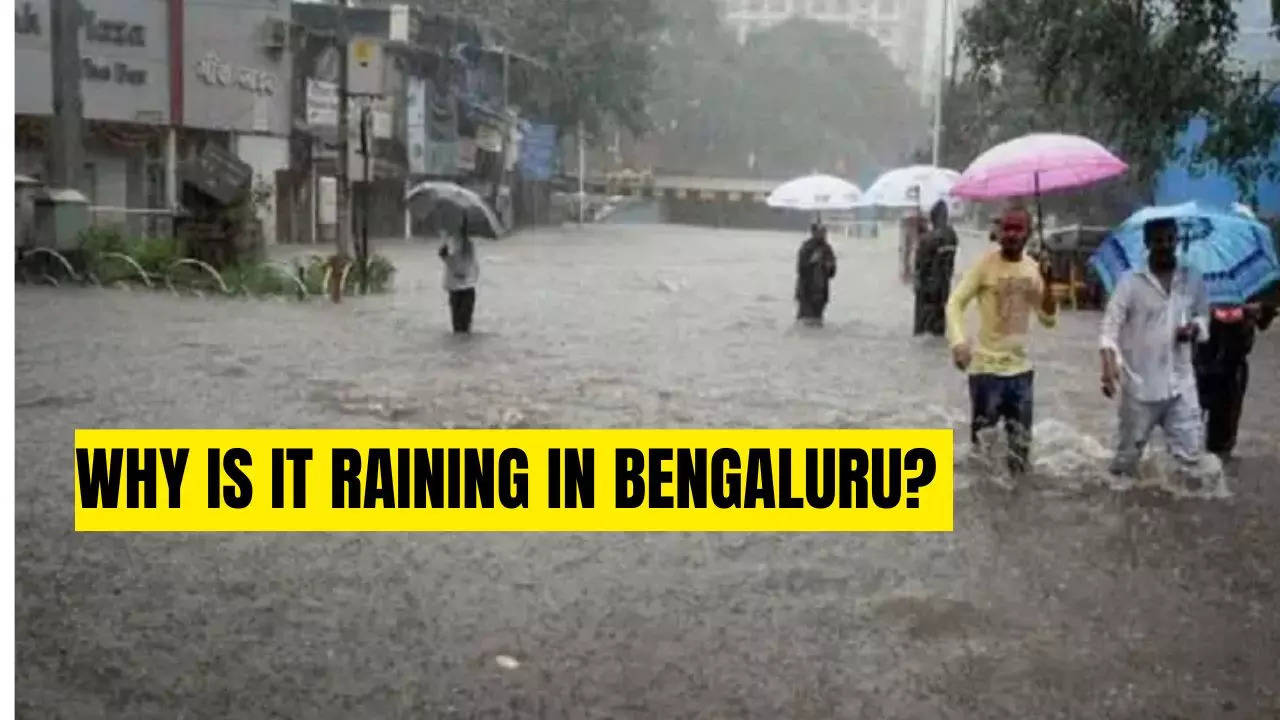 heavy rain in bengaluru: imd issues yellow alert, will weather play spoilsport in ind vs nz test ?