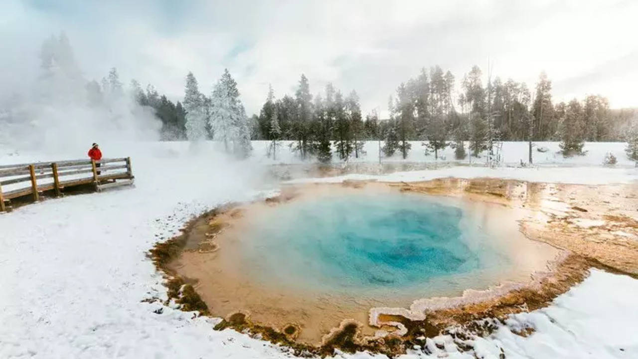 Fall Snowstorm Turns Yellowstone National Park Into A Winter Wonderland