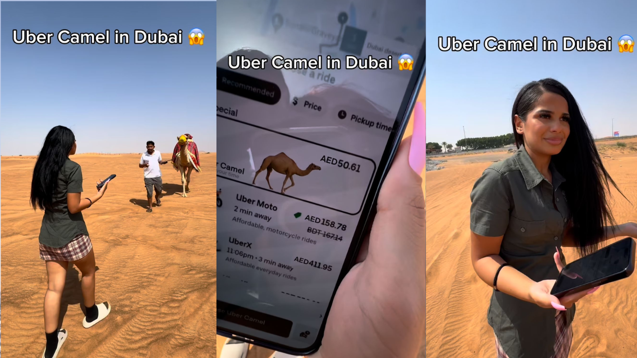 watch: woman in desert orders camel through uber, internet is not ready to believe