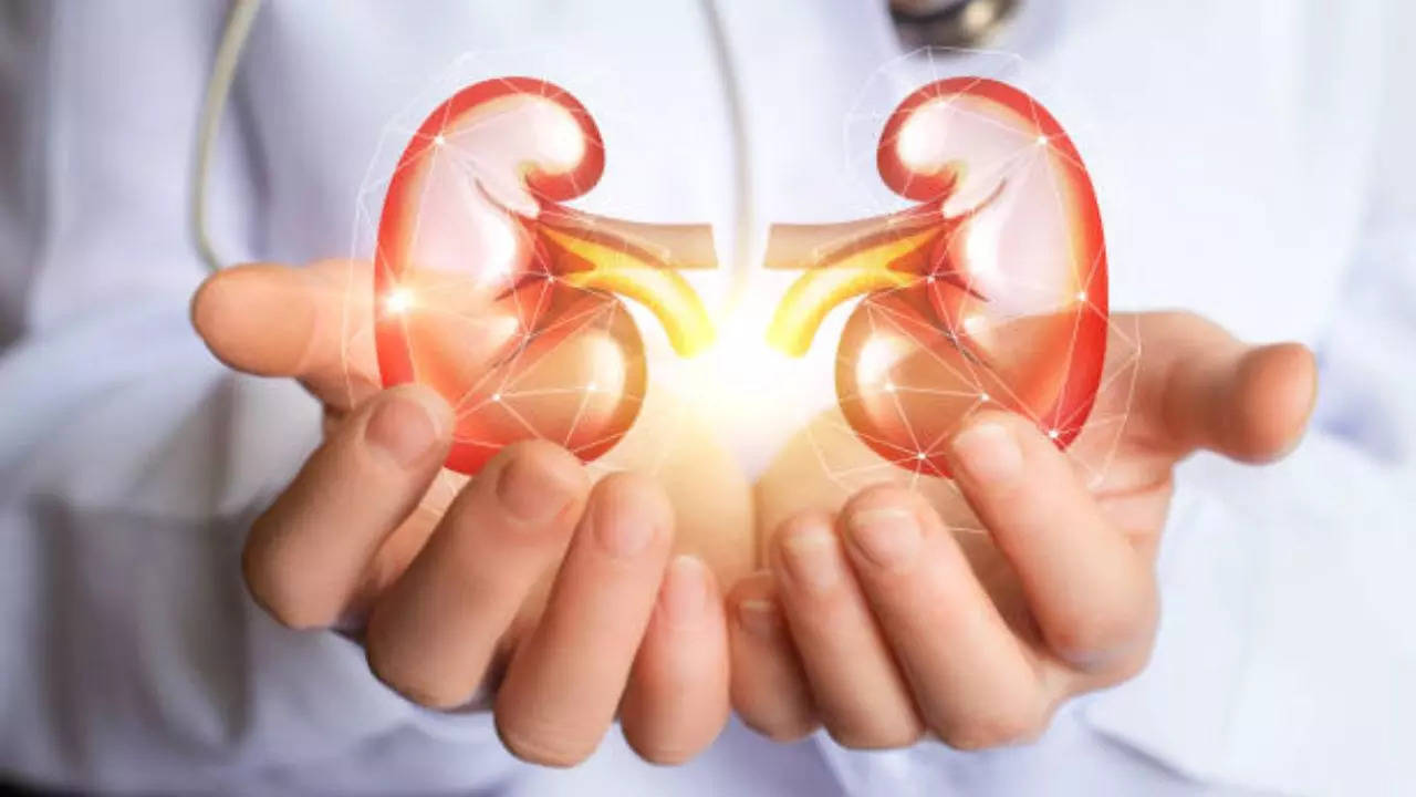 Kidney Health: 8 Daily Habits To Follow To Keep The Organ Healthy