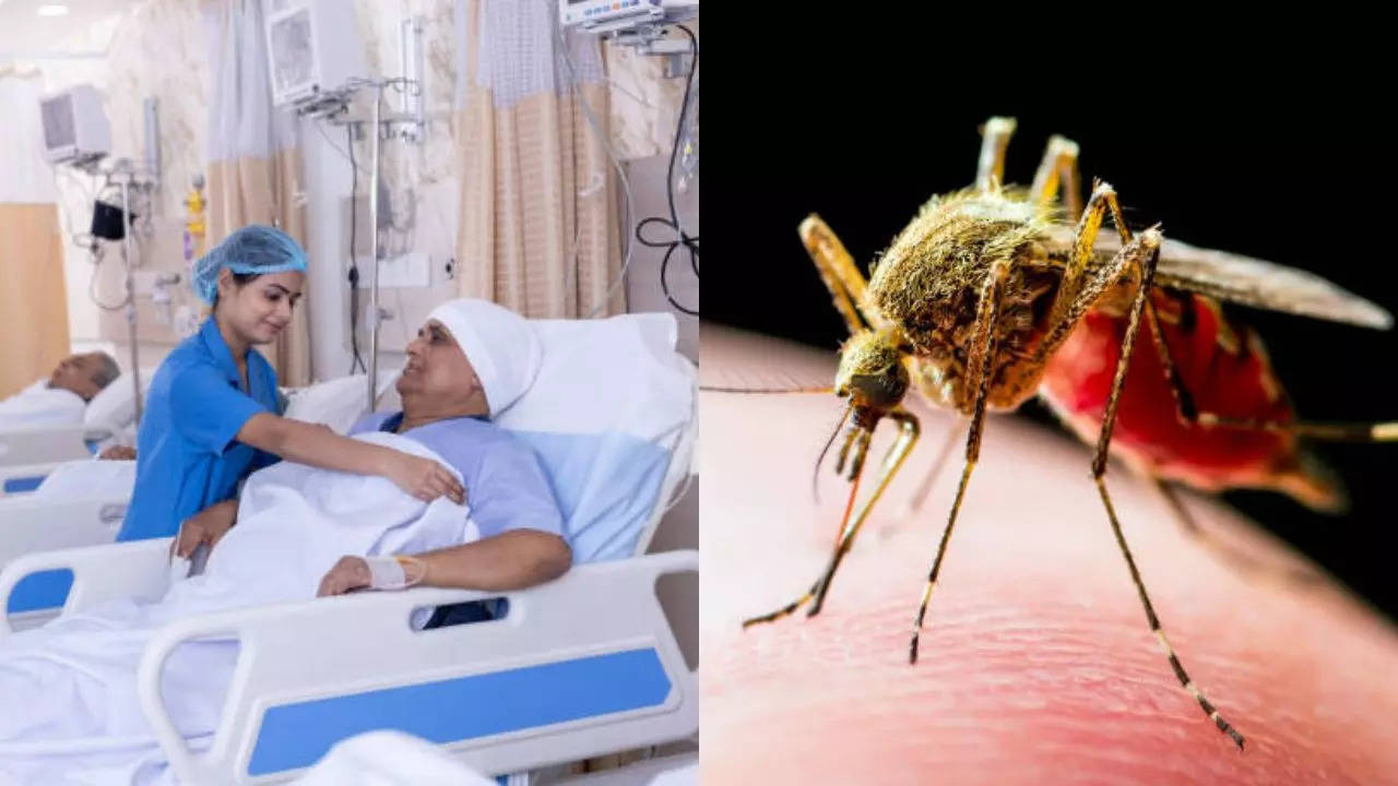 this mosquito-borne disease that gave limp to people in india is spreading rapidly in pakistan; know all about it