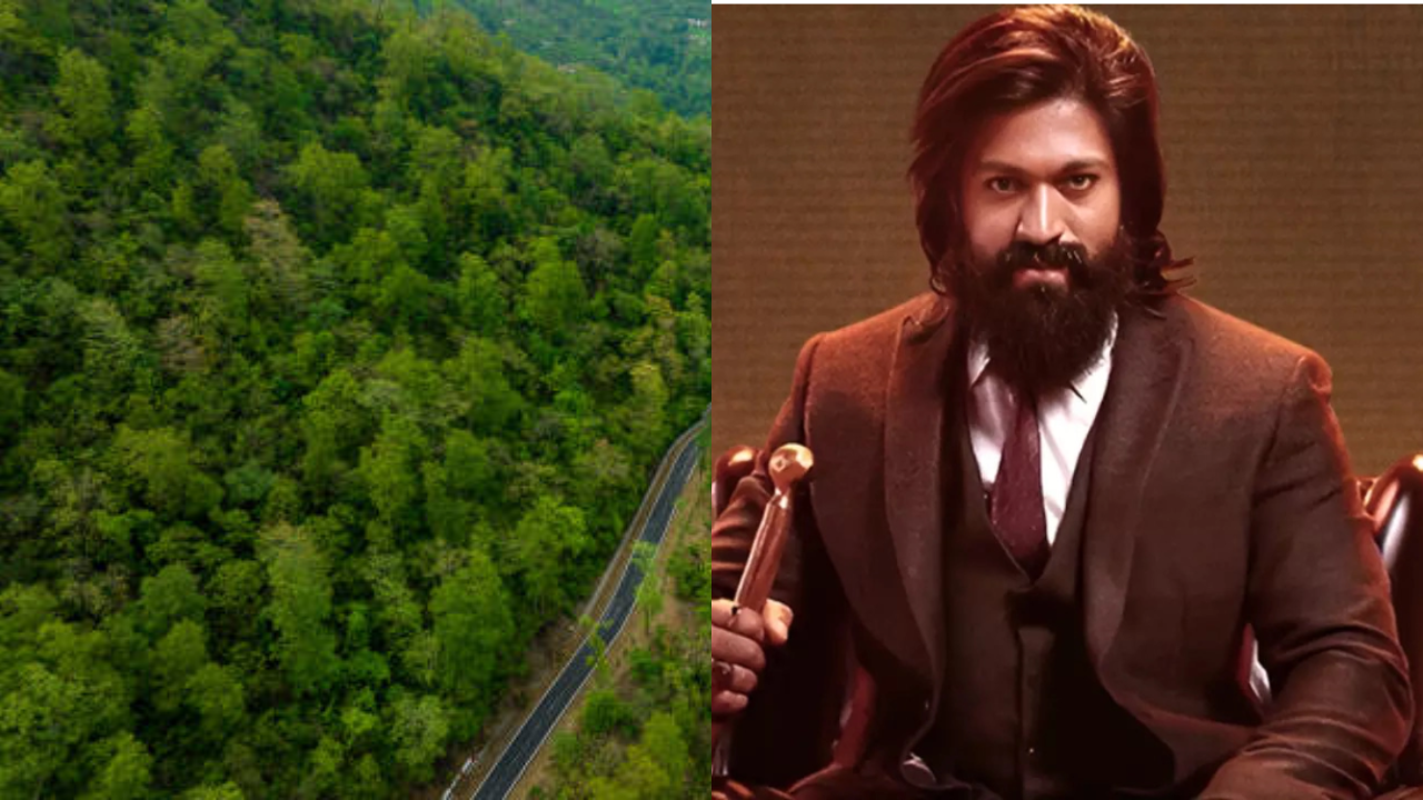 hundreds of trees cut down in bengaluru forest land for kgf star yash toxic film set up