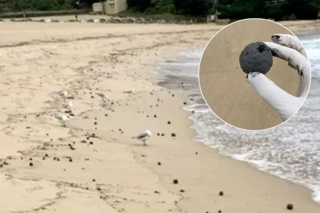 'Mysterious black balls' close Sydney beach