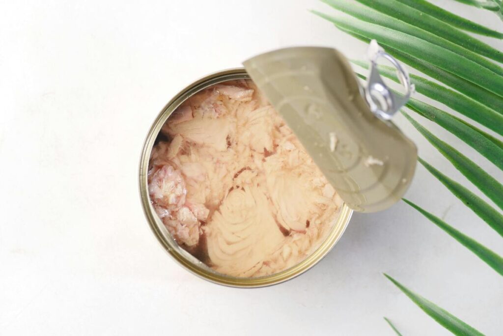 Tinned tuna contaminated with mercury: NGOs